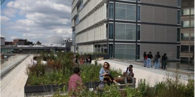 London School of Economics & Political Science commitment to sustainability “stronger than ever”