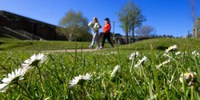 UK (University of Sussex) University of Sussex launches consultation on setting aside up to half of its campus to nature