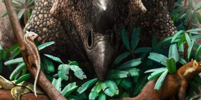 UK (University of Edinburgh) Dinosaurs were on the up before asteroid downfall