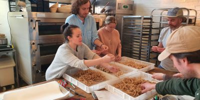 UK (University of Nottingham) Bakers rise to challenge of investigating new wheat varieties